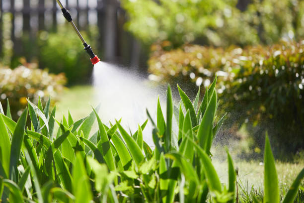 24/7 Emergency Wasp Removal experts in Middleburg, PA